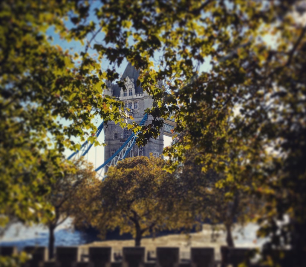 The Tower & The&nbsp;Stage